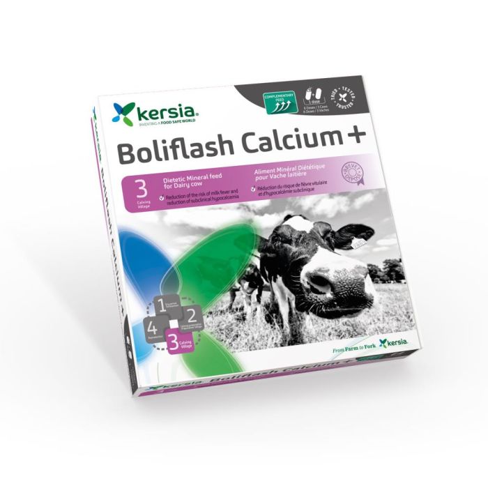 Boliflash Calcium+ 12-st