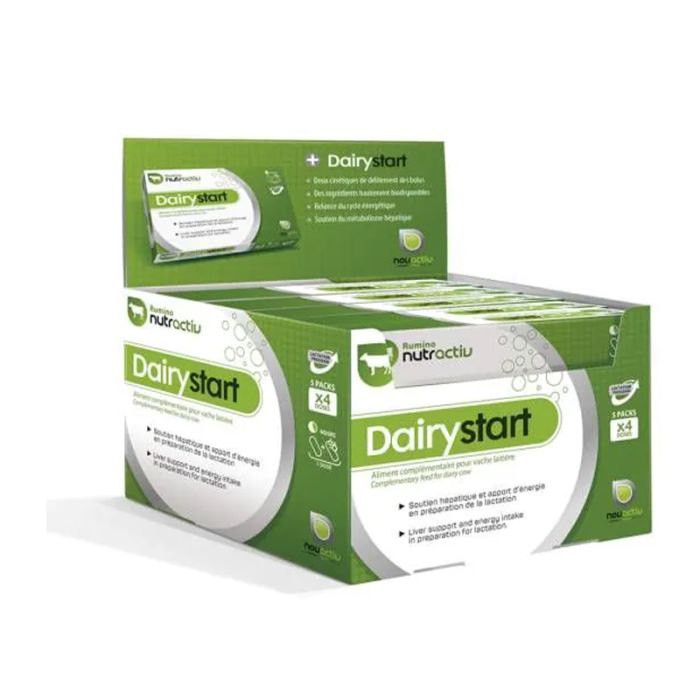 Dairystart Boli 8 stuks