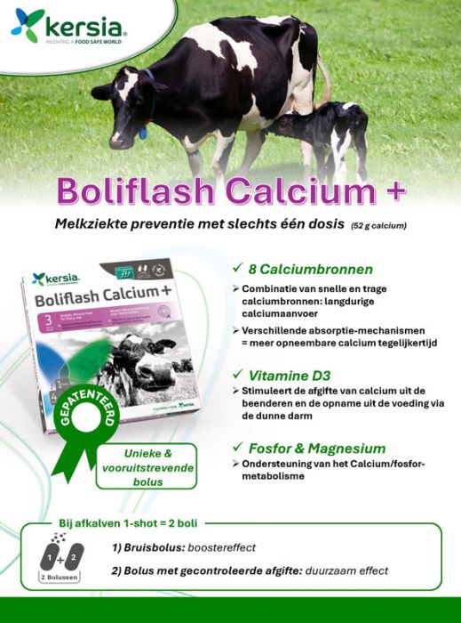 Boliflash Calcium+ 12-st