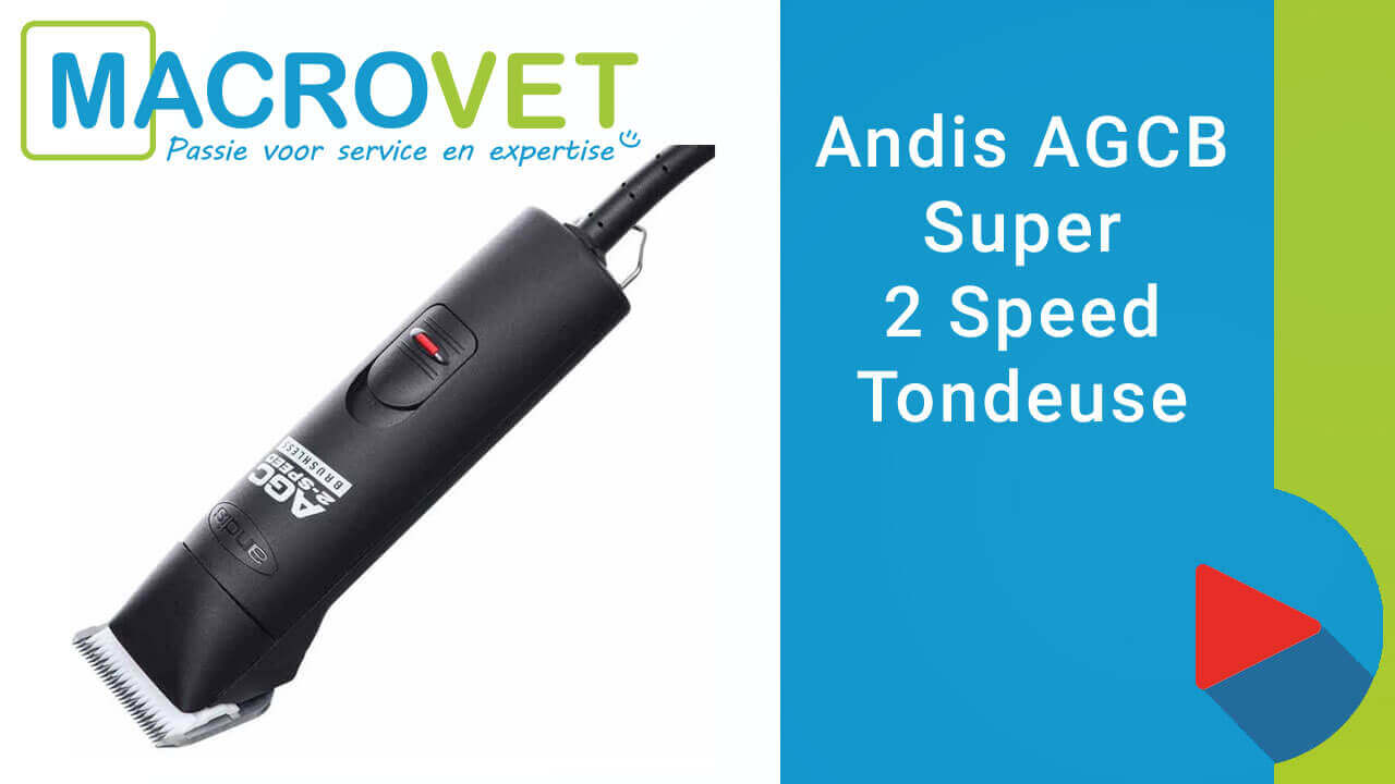 vermoeidheid Afstoten Toegeven Andis UltraEdge AGCB Super 2 speed Brushless Zwart | Macrovet.nl