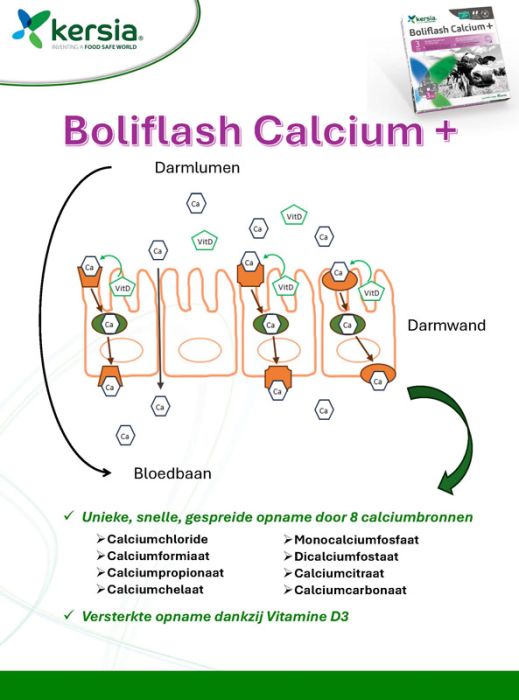 Boliflash Calcium+ 12-st