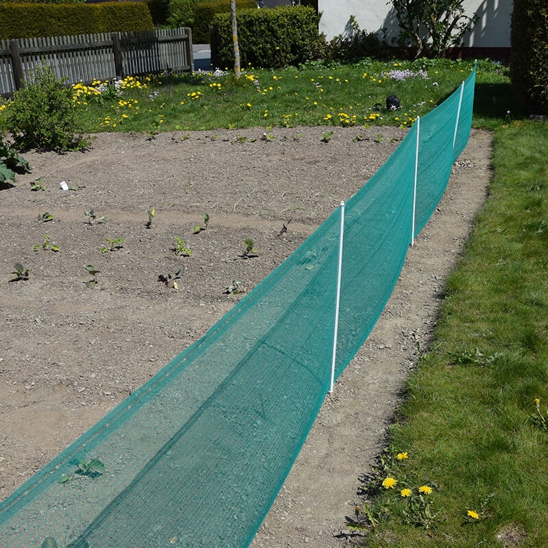 Analist verontschuldiging Bedenken Verplaatsbare net afrastering groen 80cm hoog - 20m | Macrovet.nl